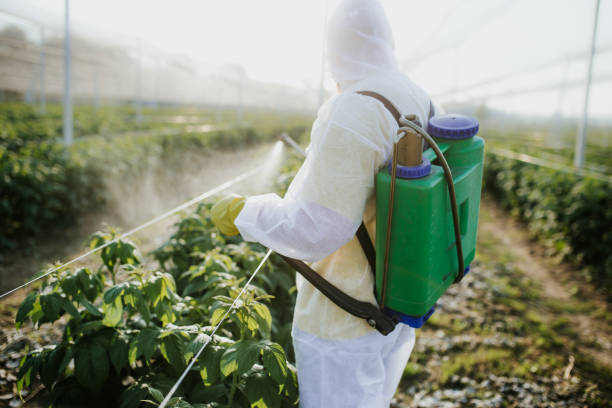 Best Commercial Pest Control Services  in Kincaid, IL